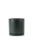 Momma Pots Jewel Tone Gemstone Cylinder - Green Fresh Florals + Plants