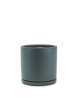 Momma Pots Jewel Tone Gemstone Cylinder - Green Fresh Florals + Plants