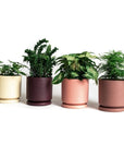 Momma Pots Jewel Tone Gemstone Cylinder - Green Fresh Florals + Plants