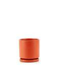 Momma Pots Jewel Tone Gemstone Cylinder - Green Fresh Florals + Plants
