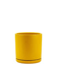 Momma Pots Jewel Tone Gemstone Cylinder - Green Fresh Florals + Plants