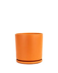 Momma Pots Jewel Tone Gemstone Cylinder - Green Fresh Florals + Plants