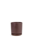 Momma Pots Jewel Tone Gemstone Cylinder - Green Fresh Florals + Plants