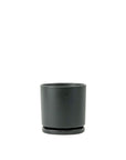 Momma Pots Jewel Tone Gemstone Cylinder - Green Fresh Florals + Plants