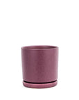 Momma Pots Jewel Tone Gemstone Cylinder - Green Fresh Florals + Plants