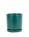 Momma Pots Jewel Tone Gemstone Cylinder - Green Fresh Florals + Plants
