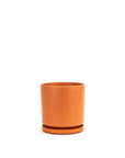 Momma Pots Jewel Tone Gemstone Cylinder - Green Fresh Florals + Plants