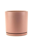 Momma Pots Jewel Tone Gemstone Cylinder - Green Fresh Florals + Plants