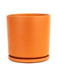 Momma Pots Jewel Tone Gemstone Cylinder - Green Fresh Florals + Plants