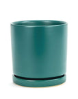 Momma Pots Jewel Tone Gemstone Cylinder - Green Fresh Florals + Plants