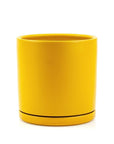 Momma Pots Jewel Tone Gemstone Cylinder - Green Fresh Florals + Plants