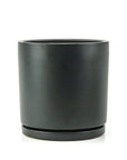 Momma Pots Jewel Tone Gemstone Cylinder - Green Fresh Florals + Plants