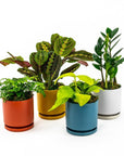 Momma Pots Jewel Tone Gemstone Cylinder - Green Fresh Florals + Plants