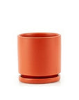 Momma Pots Jewel Tone Gemstone Cylinder - Green Fresh Florals + Plants