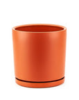 Momma Pots Jewel Tone Gemstone Cylinder - Green Fresh Florals + Plants