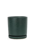 Momma Pots Jewel Tone Gemstone Cylinder - Green Fresh Florals + Plants