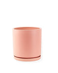 Momma Pots Pastel Gemstone Cylinder - Green Fresh Florals + Plants