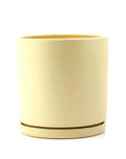 Momma Pots Pastel Gemstone Cylinder - Green Fresh Florals + Plants