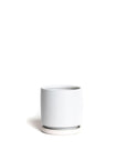 Momma Pots Pastel Gemstone Cylinder - Green Fresh Florals + Plants