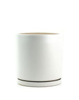 Momma Pots Pastel Gemstone Cylinder - Green Fresh Florals + Plants