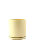 Momma Pots Pastel Gemstone Cylinder - Green Fresh Florals + Plants
