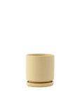 Momma Pots Pastel Gemstone Cylinder - Green Fresh Florals + Plants