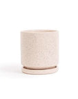 Momma Pots Pastel Gemstone Cylinder - Green Fresh Florals + Plants