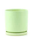 Momma Pots Pastel Gemstone Cylinder - Green Fresh Florals + Plants