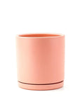Momma Pots Pastel Gemstone Cylinder - Green Fresh Florals + Plants