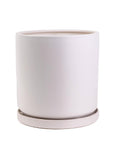Momma Pots Pastel Gemstone Cylinder - Green Fresh Florals + Plants
