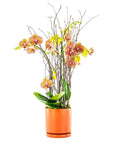 Orange Orchid Planting - Green Fresh Florals + Plants