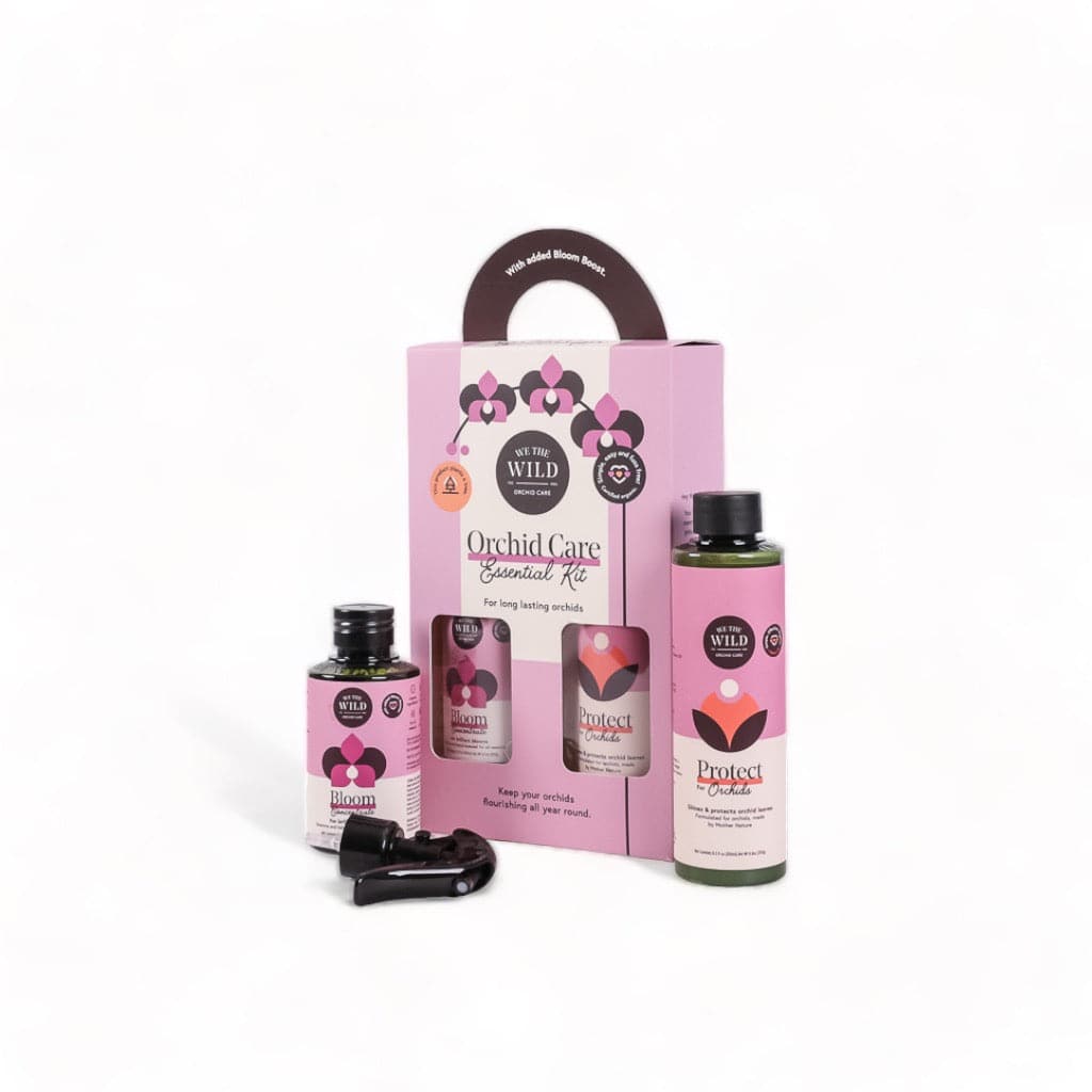 Orchid Care Essential Kit - Green Fresh Florals + Plants