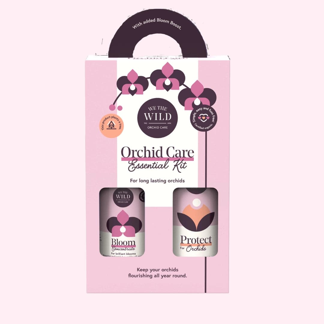 Orchid Care Essential Kit - Green Fresh Florals + Plants