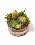 Painted Desert Succulent Planting - Green Fresh Florals + Plants