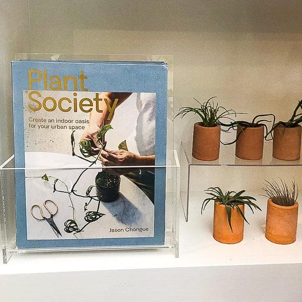 Plant Society : Create an Indoor Oasis for Your Urban Space - Green Fresh Florals + Plants