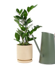 Preston Watering Can - Green Fresh Florals + Plants