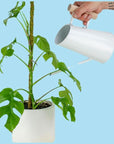 Preston Watering Can - Green Fresh Florals + Plants