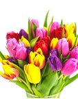 Rainbow Brite Tulips - Green Fresh Florals + Plants