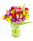 Rainbow Brite Tulips - Green Fresh Florals + Plants