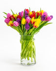 Rainbow Brite Tulips - Green Fresh Florals + Plants