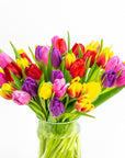 Rainbow Brite Tulips - Green Fresh Florals + Plants