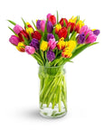 Rainbow Brite Tulips - Green Fresh Florals + Plants