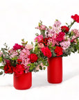 Red Hots Floral - Green Fresh Florals + Plants