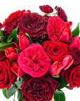 Red Luxe Designer Floral - Green Fresh Florals + Plants