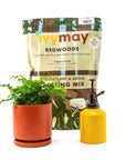 Redwoods Potting Mix - Green Fresh Florals + Plants
