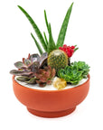 Rust Crystal Succulent Garden - Green Fresh Florals + Plants