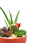 Rust Crystal Succulent Garden - Green Fresh Florals + Plants