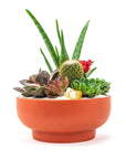 Rust Crystal Succulent Garden - Green Fresh Florals + Plants