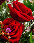 Shades of Red Long-Stem Roses - Green Fresh Florals + Plants
