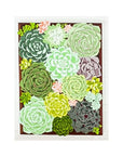 Succulent Garden Greeting Card - Green Fresh Florals + Plants